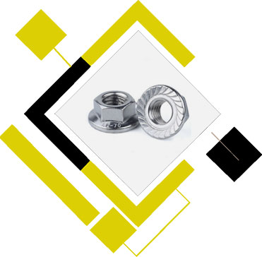 Alloy 20 Serrated Flange Nuts