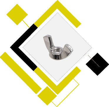 Hastelloy C22 Wing Nuts
